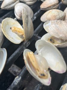How To Grill Clams